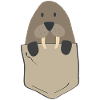 Funny walrus in breast pocket