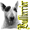 Bull Terrier, Bulldog, Bulldog, head, Terrier,