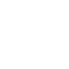 Car Detailing Car Detailer