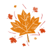 Canada maple leaf