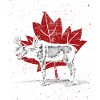 Canada moose