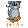 Cat Funny