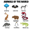 ANIMAUX DU MONDE