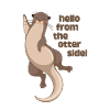 hello from the otter side