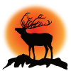 Deer Reindeer Silhouette Sunset