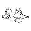 canard