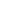 scout