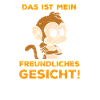 Friendly monkey