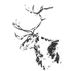 Oh deer!