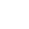 Labrador Mama