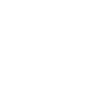 Labrador Mom