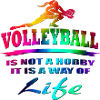 volleyball