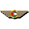 Palestine Flag - Palestine flag