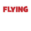 fly