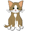 babycat brown and white