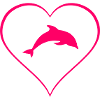 dolphin