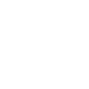 Schalke Fan