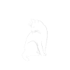 ACAB 1312