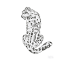 Snow Leopard