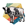 Cow retro