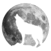 Full Moon Wolf