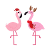 Flamingos snow winter Christmas