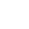 vagina