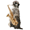 Erdmaennchensax