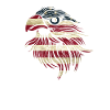 Drapeau américain aigle