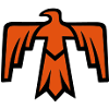 Thunderbird, Thunder Bird, native american,Indians