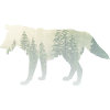 Loup de glace