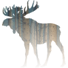 Forest moose