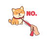 Shiba Inu