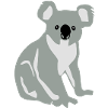 Koala bear