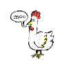 Chicken Moo Moo