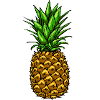 pineapple