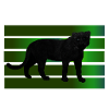 Schwarzer Panther
