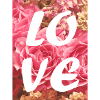 LoVe Roses Pink Love
