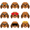 dachshund