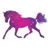 Pferd Silhouette Galaxy Space Universum
