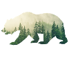 Ours Grizzly