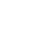 Father and Son Dream Team