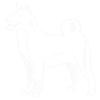 Shiba Inu