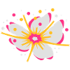 A cherry blossom with pollen