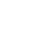 Auditor Magier Definition Abschluss