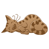 sleeping cat