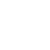 skier