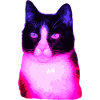 Chat chat chat