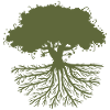 tree roots green
