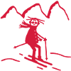 Skier - winter sports